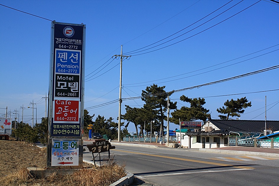 경포고등어펜션 이미지