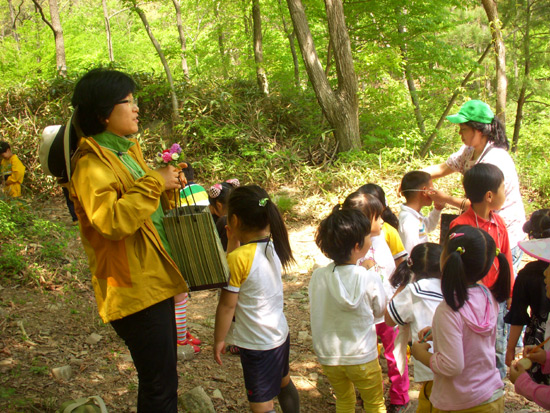 숲유치원 이미지