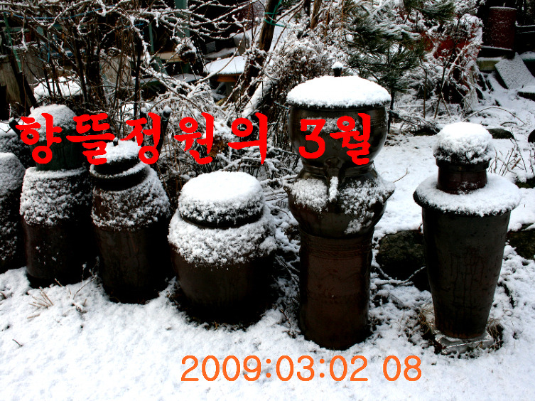 11611B1349AD17F1B8E639