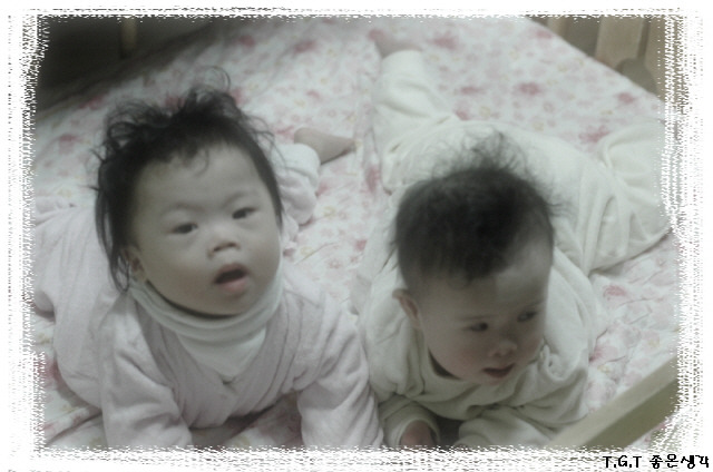 123F850A49AE1687A80651