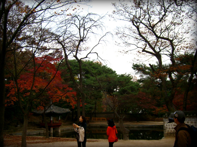 1337101D4AF5B2CA08C274