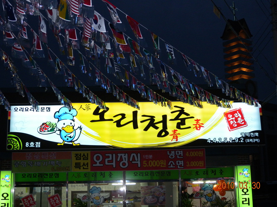 청춘오리 이미지