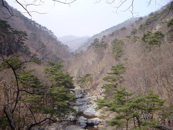 다산초등학교 이미지