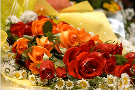 135E6F4A505BB73012D750