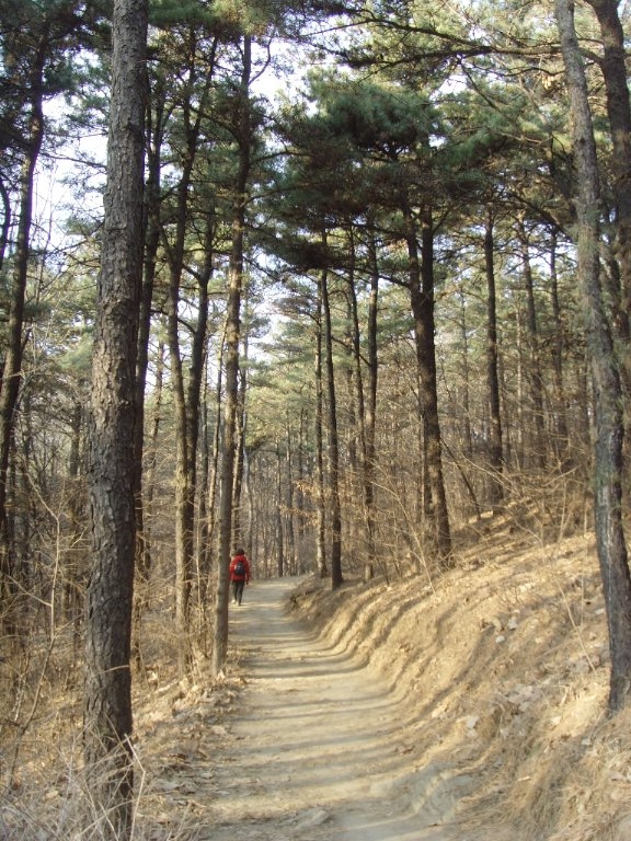 대모산...