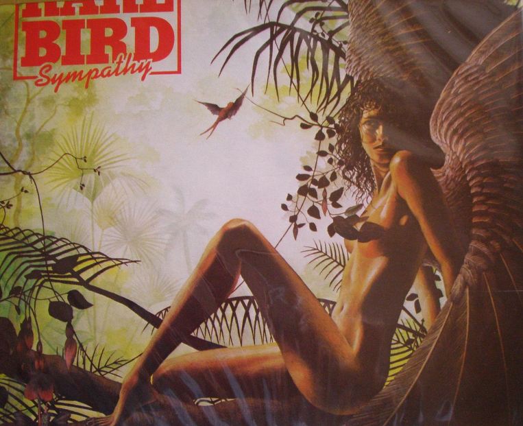 ¿AHORA ESCUCHAS? : Rock progresivo/Sinfonico/Afines - Página 5 1451070C4A0D26002FC40C