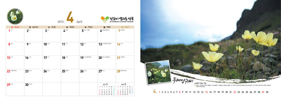 야생화달력탁상용2012년-백두산속야생화