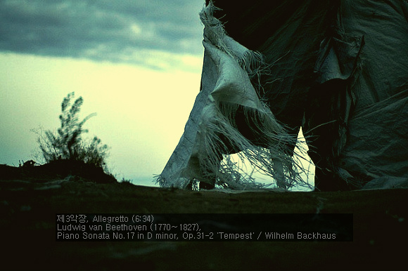 Beethoven-Piano Sonata No.17 in D minor, Op.31-2 '