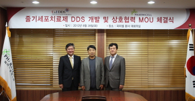 DDS 이미지