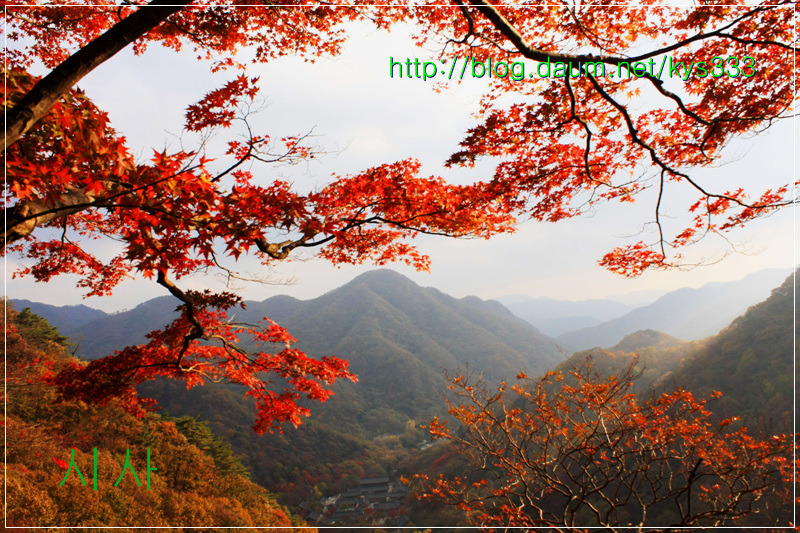 만추의 백양사 아름다운 단풍 2탄...2012. 11월 7일