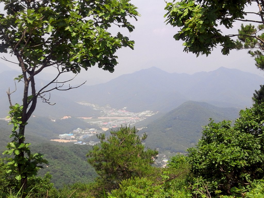 신어산(神魚山)