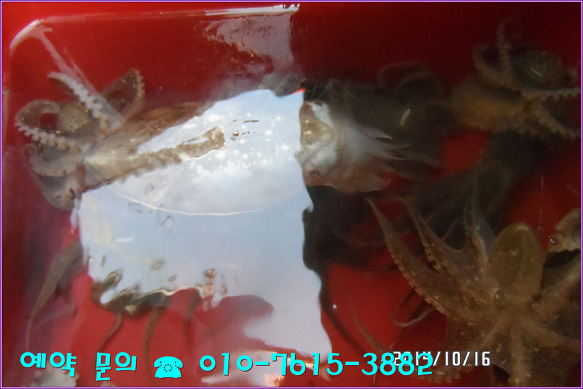 210D303E543FE612301C51