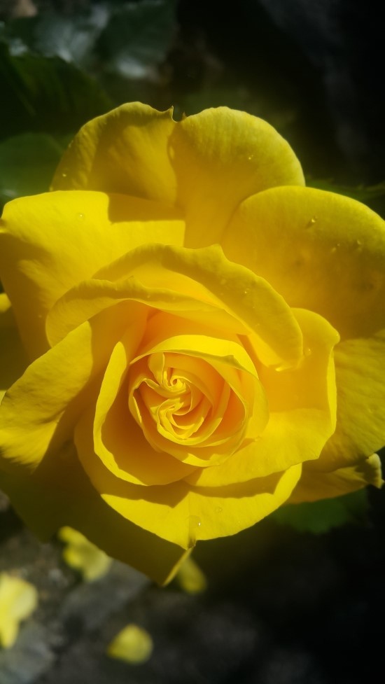 하나님이 보내주신 천사