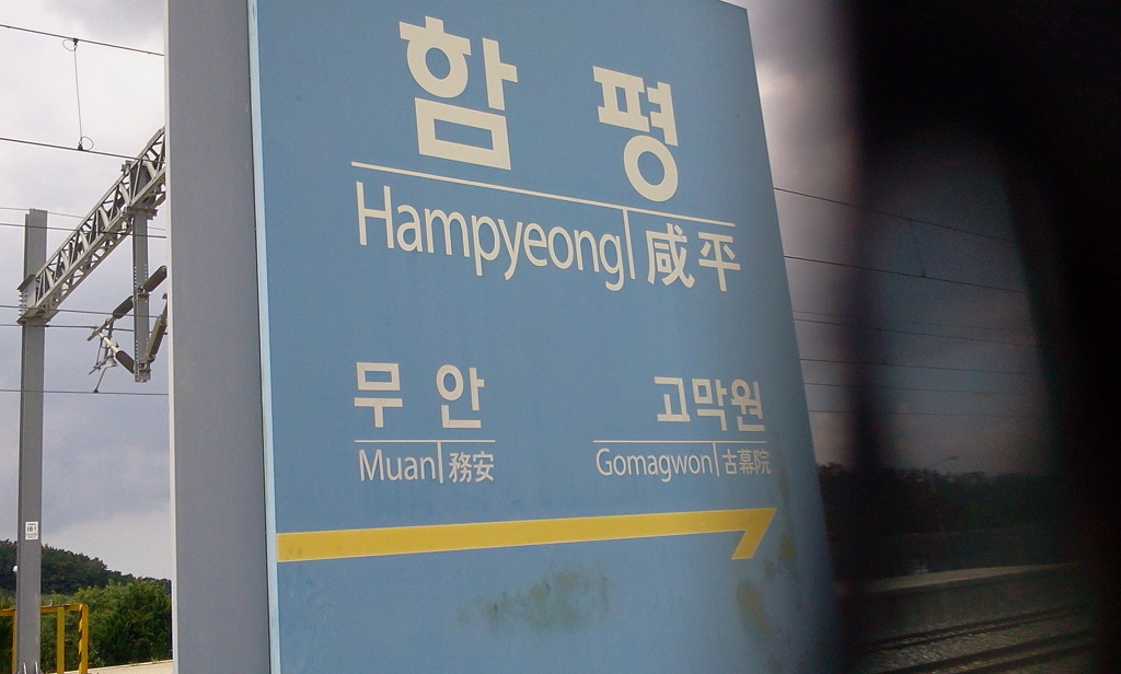 함평출발