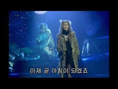 캐츠 이미지