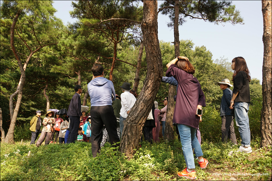 천도교 수도회 제4차 수련 (2편) 이미지