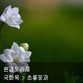 꽃이름 찾기