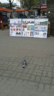 222E0243534CD2853089F8