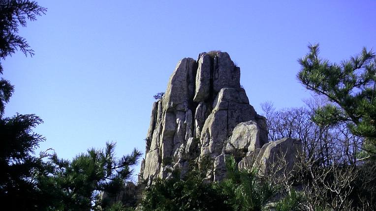 2236DF4B54B100CE11D485