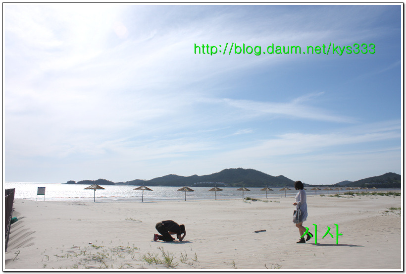 증도 바닷가 해변 바람의 흔적...2015년 6월