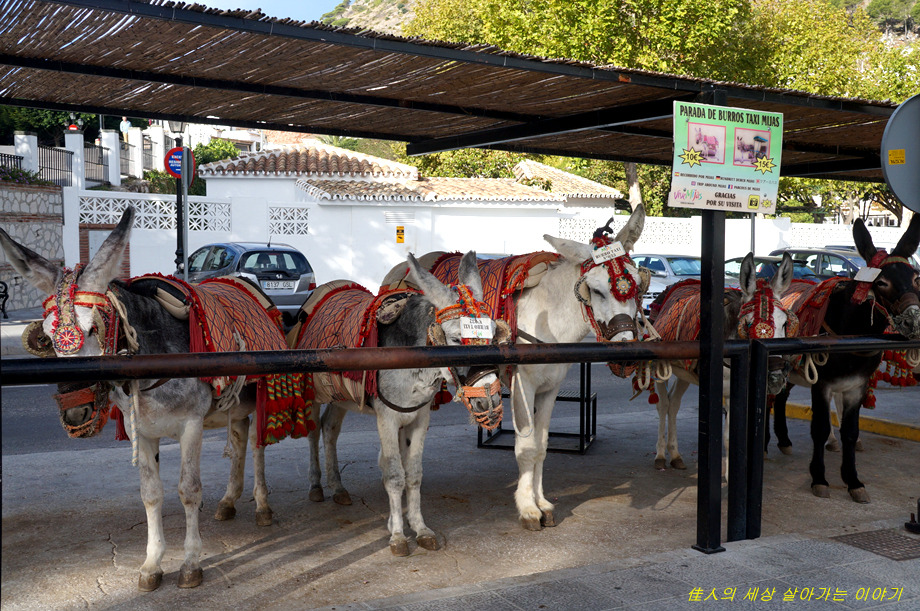 미하스의 밤, 아침 그리고 낮은 다른 풍경입니다.
