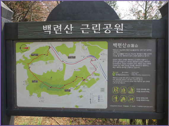 초록숲 이미지