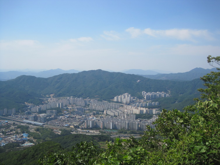 이미지