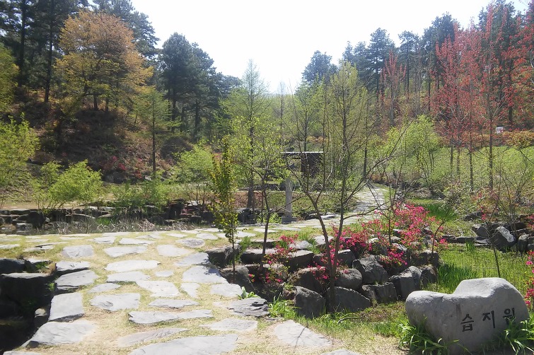 금강수목원 이미지