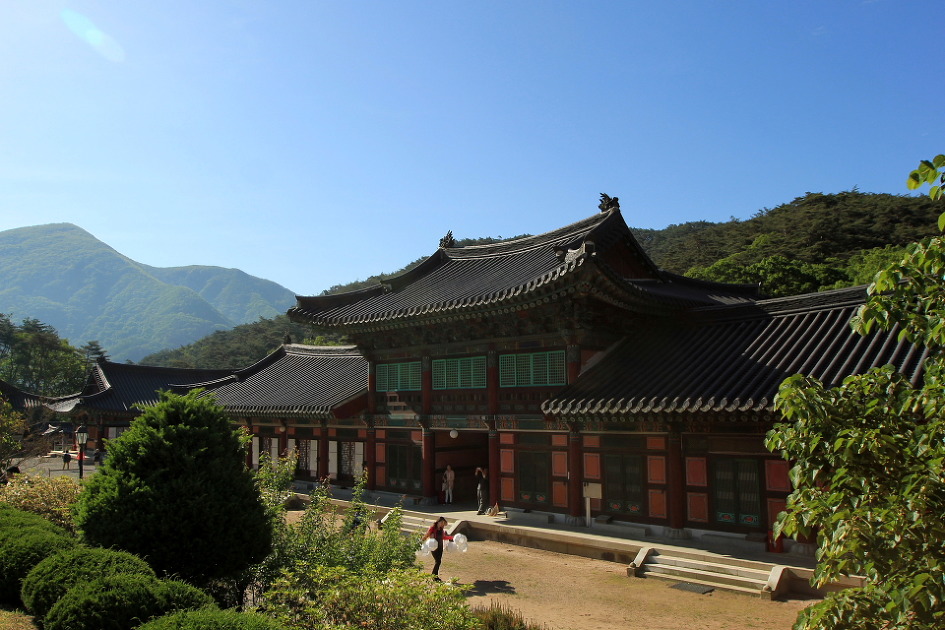 문경 봉암사를 찾아서..(2016.5.14)