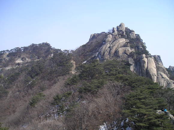 차세대 리더십 