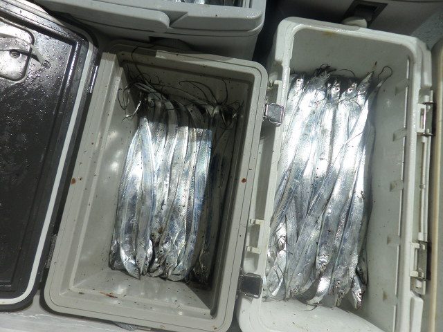 2378C24A53EC919B1FF400