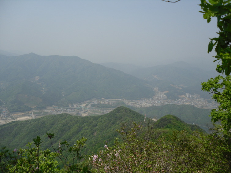이미지