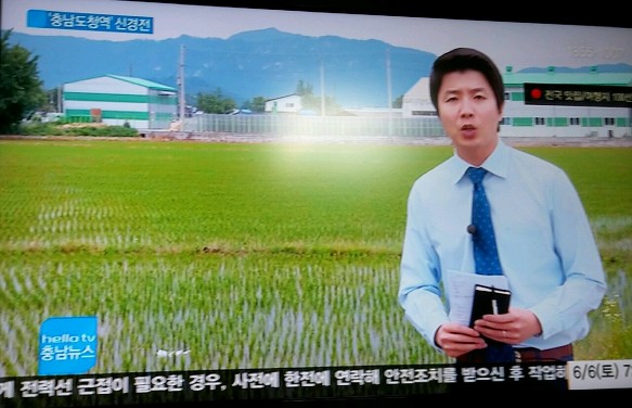 충남 도청역세권  토지 분양   