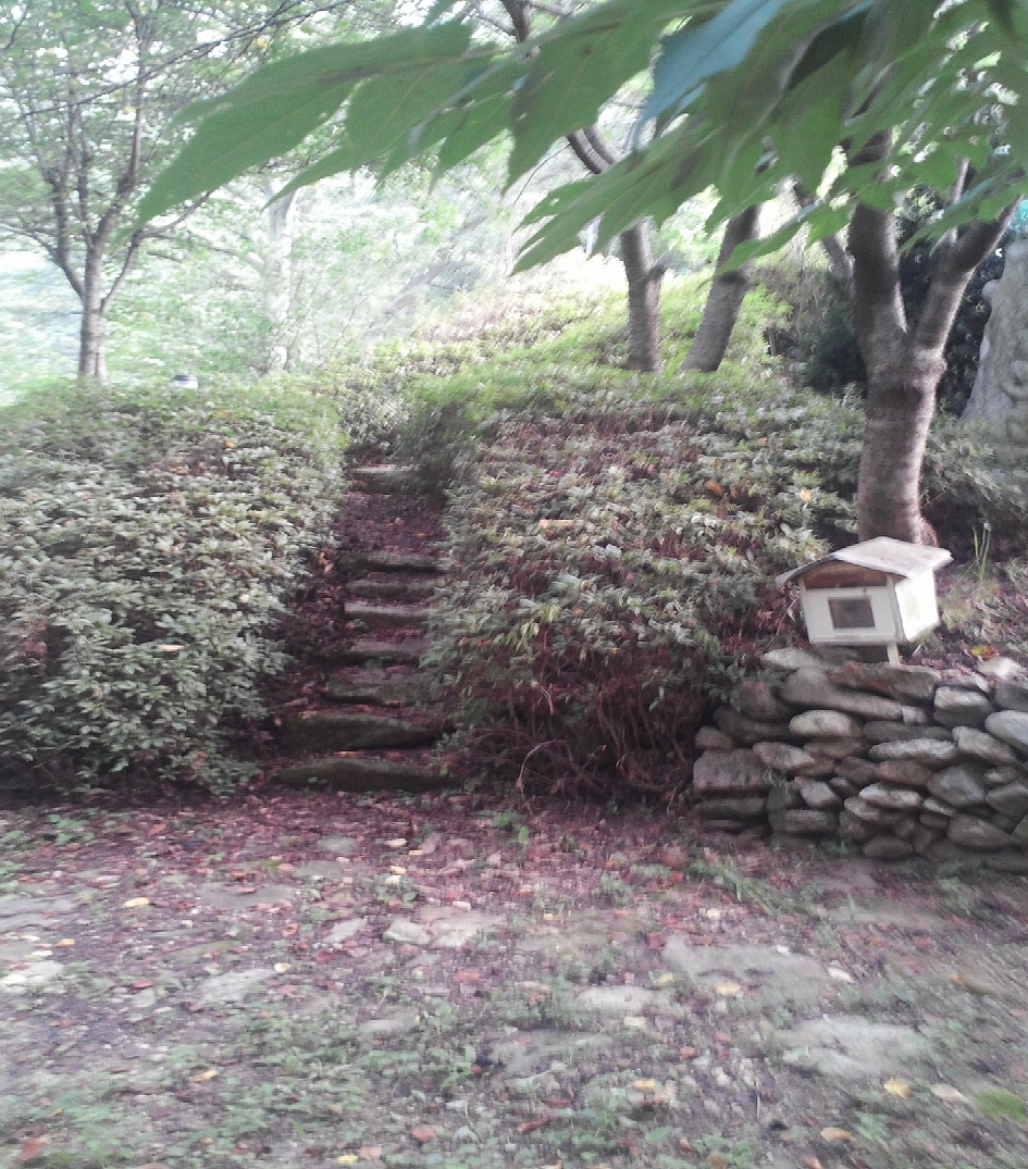  고향(봉화)