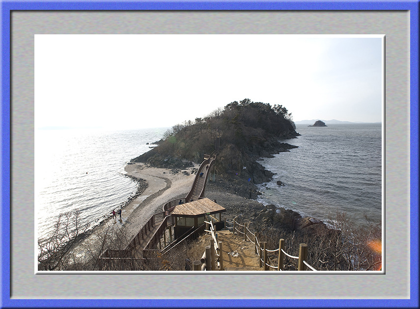 산고끝에 다시 태어난 노루귀