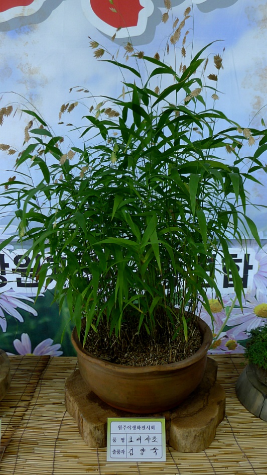 강원도자연학습원 이미지