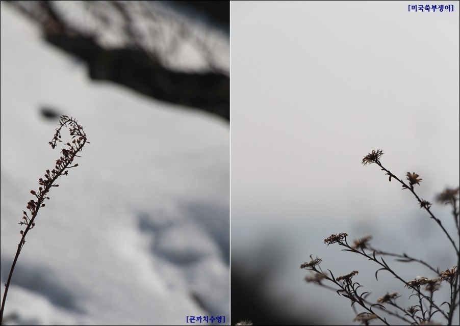 2013.12.21土 산동무와 함께한 고령산 앵무봉 송년 산길....