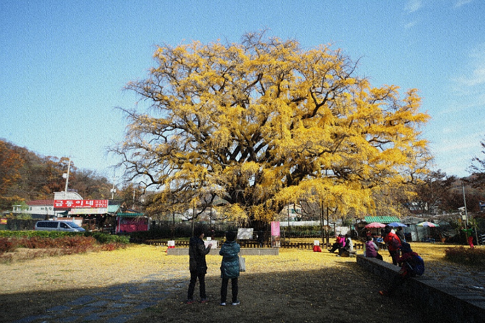 만추 속에서