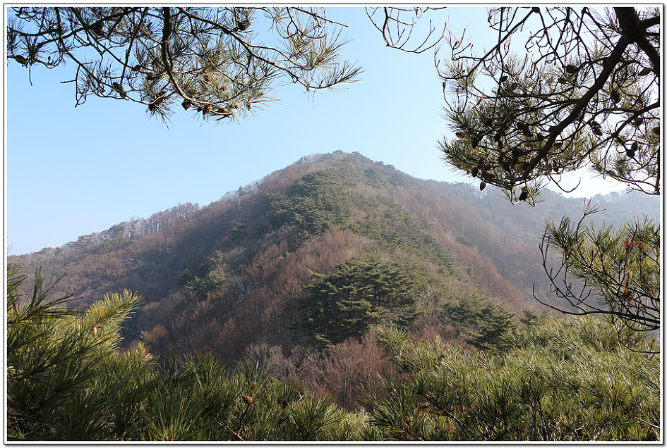 충주호 조망 이미지