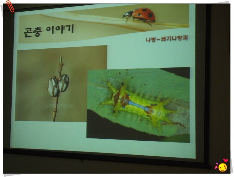 안수정 이미지