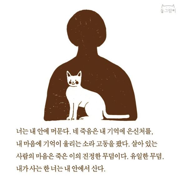 카드뉴스_깃털 떠난 고양이에게 쓰는 편지
