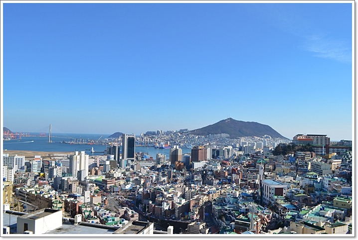 만디 이미지