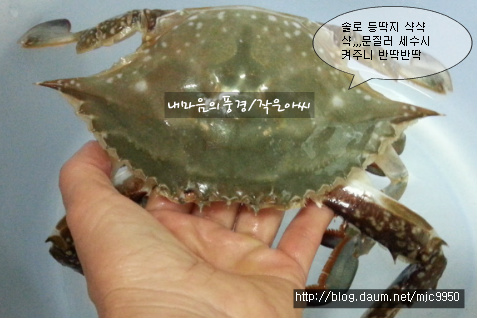 밥도둑 이미지