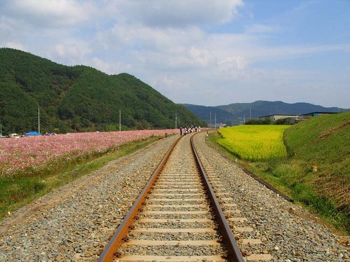 철길500*374