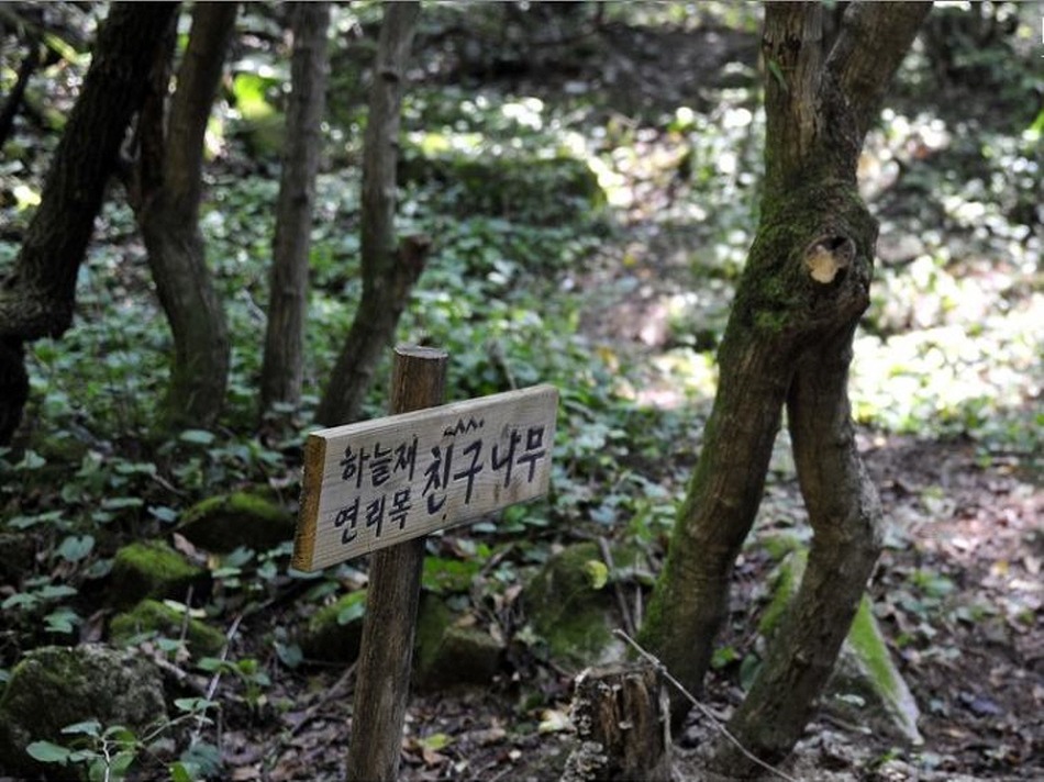 하늘그루 이미지