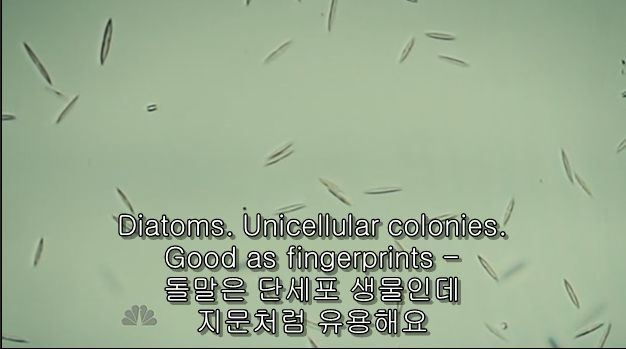 이젠홍콩인지욕망인지모르겠는미드 한니발(Hannibal) 시즌2 에피 6 Futamono (2/4) (시체주의) | 인스티즈