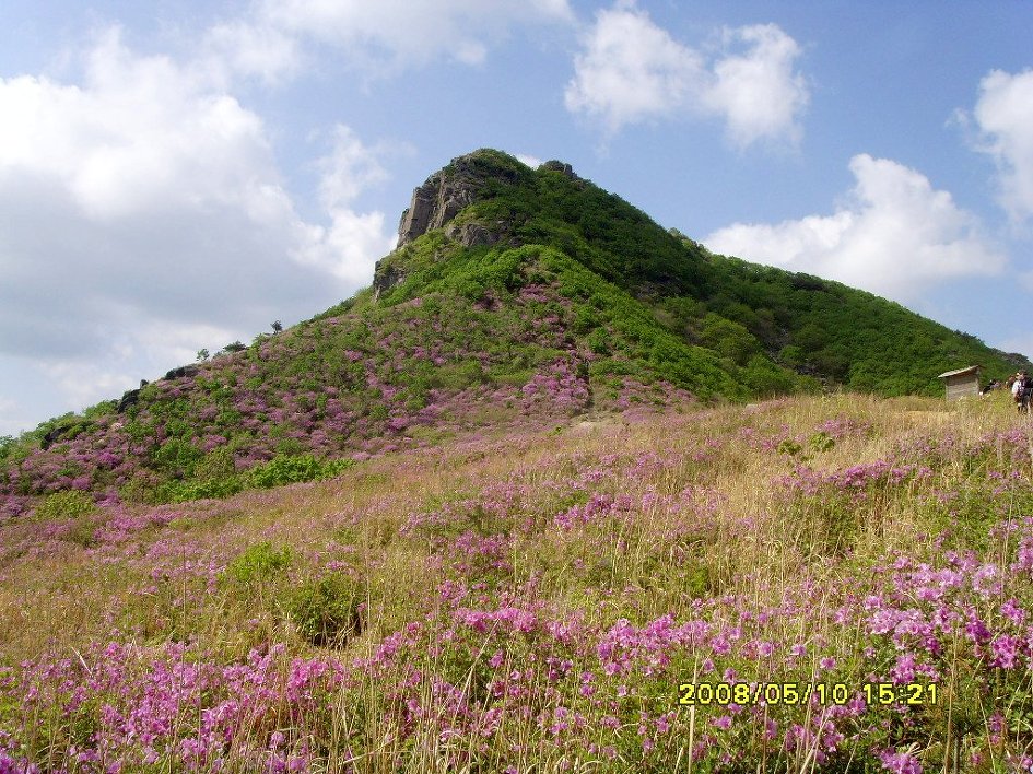 인기 백대명산 11위 황매산 철쭉(2010. 5. 15)/ 산림청