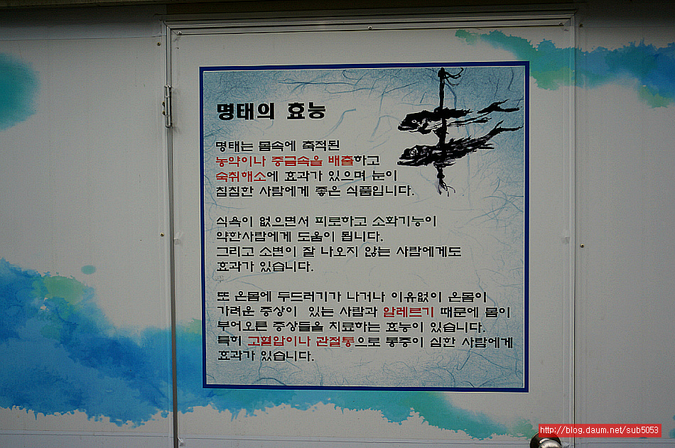 (목동맛집)매콤한 코다리 조림 맛집 - 목동 지역 추천맛집 진짜배기 명태촌 후기
