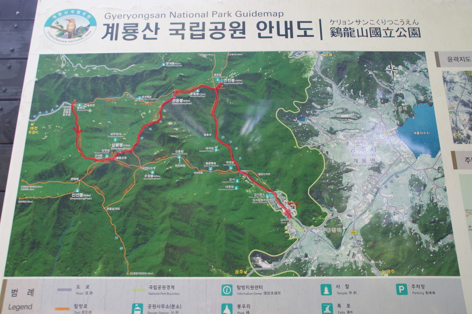 계룡산의 봄(동학사 ~ 갑사 / 15. 5. 9)