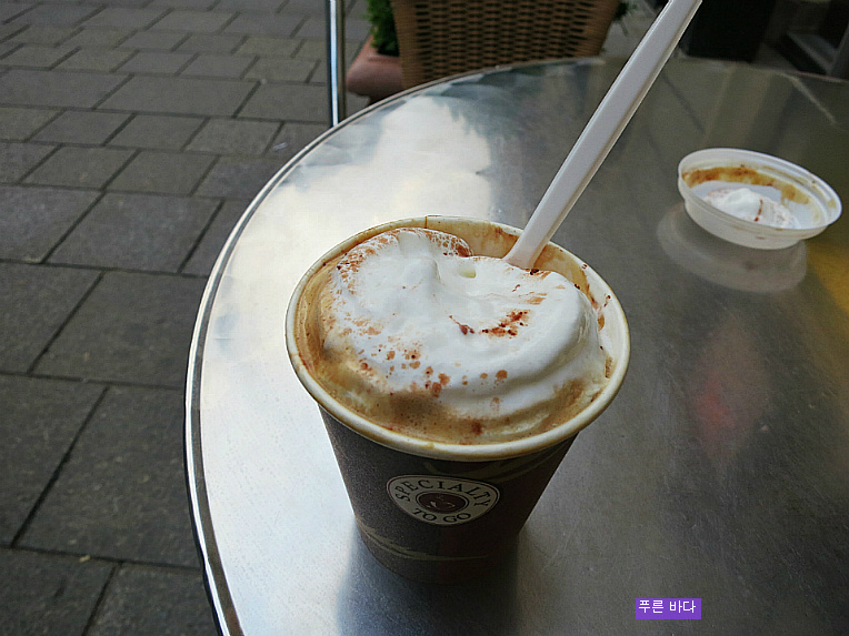 [오스트리아] 빈의 카페에서 비엔나 커피를 마시다.